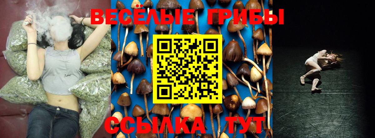 Псилоцибиновые грибы MAGIC MUSHROOMS  Вход с VPN  Новодвинск 