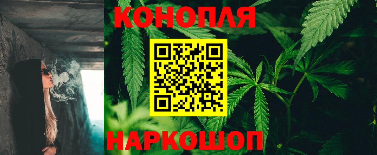Канабис SATIVA & INDICA Новодвинск